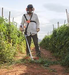 Rocadeira Stihl FS 120 Trimcut 32-2 30.8Cc